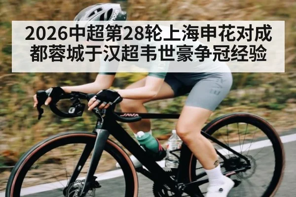 2026中超第28轮上海申花对成都蓉城于汉超韦世豪争冠经验