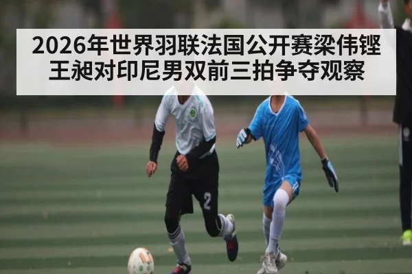 2026年世界羽联法国公开赛梁伟铿王昶对印尼男双前三拍争夺观察